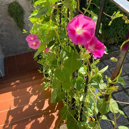 - With Private Garden And Garage בית נופש בלאנו