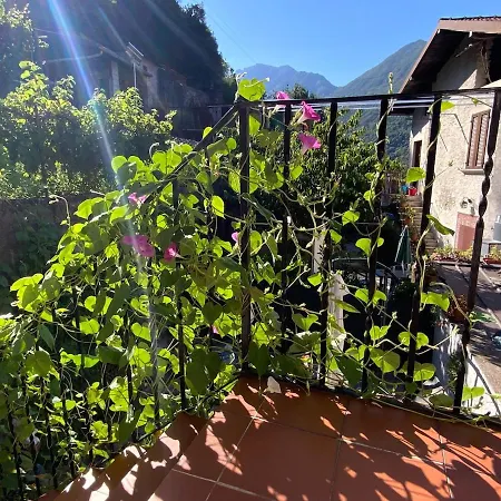 - With Private Garden And Garage * ベッラーノ