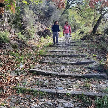 - With Private Garden And Garage