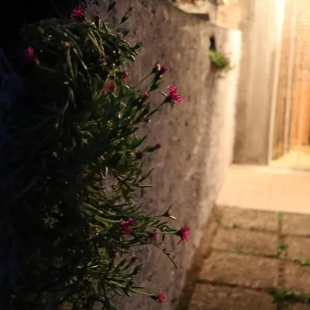 - With Private Garden And Garage